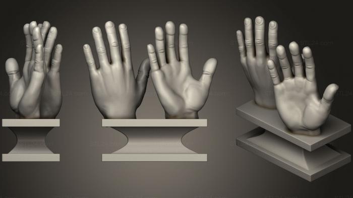 Анатомия скелеты и черепа (Рука 3d печать, ANTM_0608) 3D модель для ЧПУ станка
